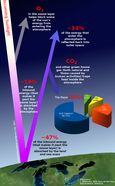 The Greenhouse Effect in Infographics Form